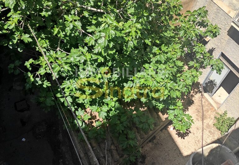 B-491 PATERNO’ – VIA CHIARA (Zona Via Vitt. Emanuele)