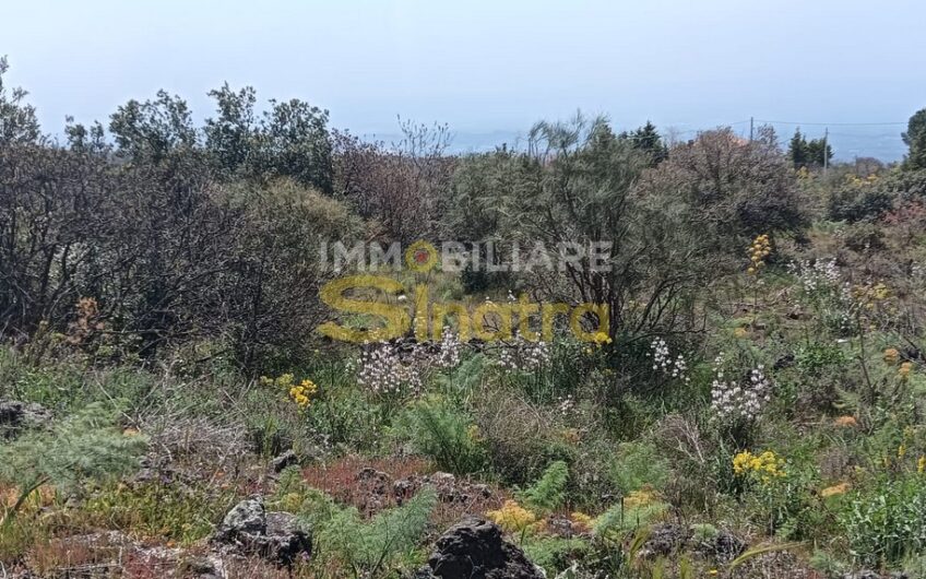 G-063 BELPASSO – C.DA GROTTA D’ANGELO (vicino Ragalna)