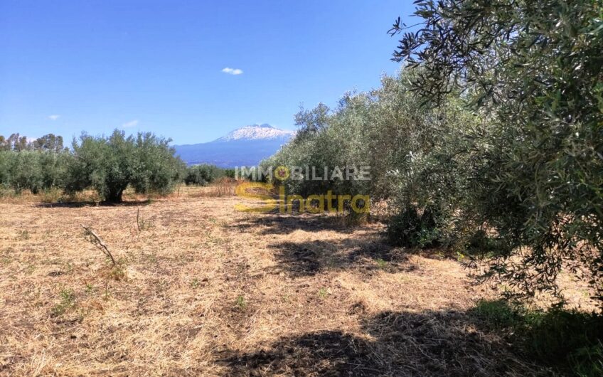 I-260 PATERNO’ – C.DA POGGIO MONACO  (SP102i)