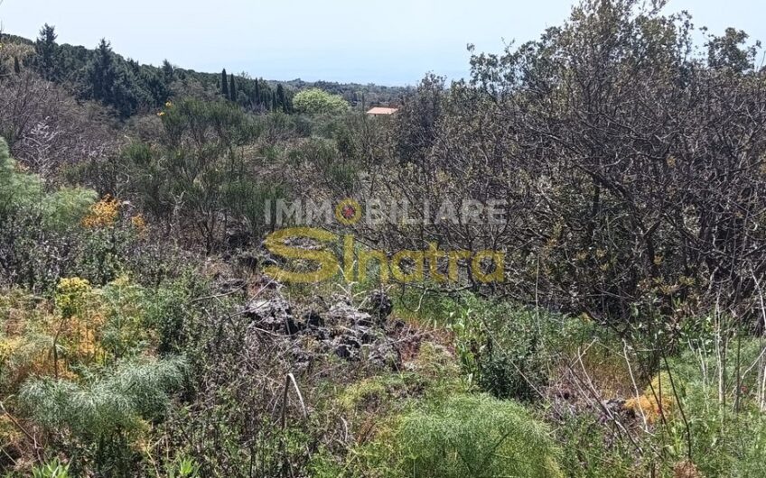 G-063 BELPASSO – C.DA GROTTA D’ANGELO (vicino Ragalna)