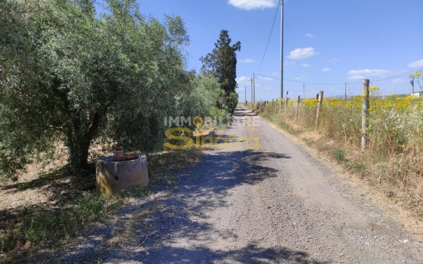 I-259 PATERNO’ – CONTRADA POGGIO MONACO (SP102i)
