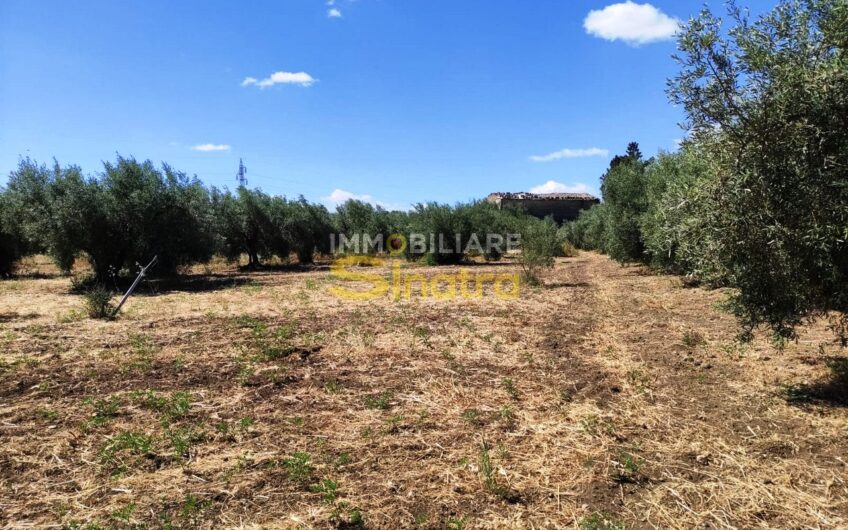 I-260 PATERNO’ – C.DA POGGIO MONACO  (SP102i)