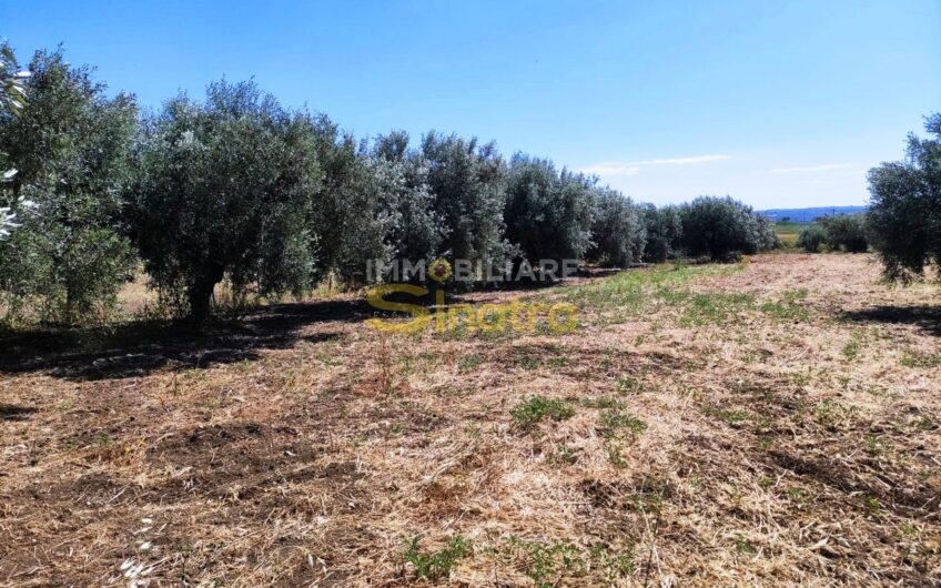 I-260 PATERNO’ – C.DA POGGIO MONACO  (SP102i)