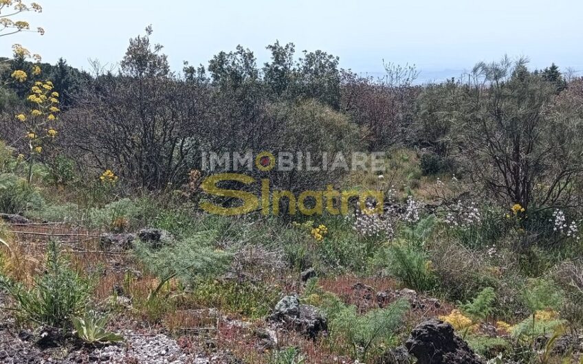 G-063 BELPASSO – C.DA GROTTA D’ANGELO (vicino Ragalna)