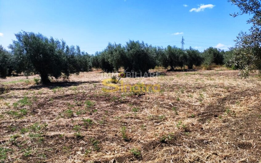 I-260 PATERNO’ – C.DA POGGIO MONACO  (SP102i)
