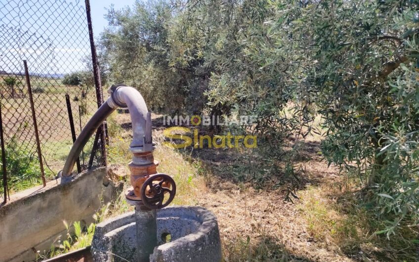 I-260 PATERNO’ – C.DA POGGIO MONACO  (SP102i)