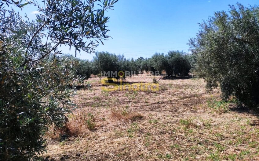 I-260 PATERNO’ – C.DA POGGIO MONACO  (SP102i)