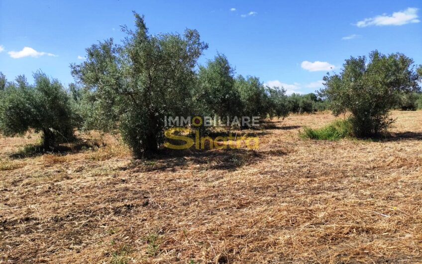 I-260 PATERNO’ – C.DA POGGIO MONACO  (SP102i)