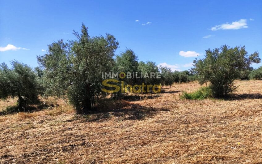 I-260 PATERNO’ – C.DA POGGIO MONACO  (SP102i)